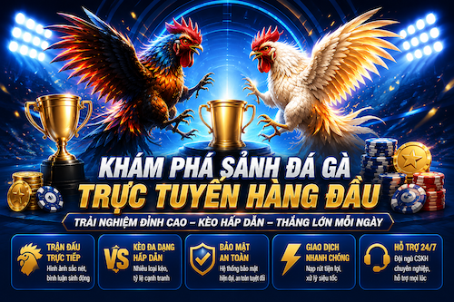 Sảnh đá gà trực tuyến 8XBET với livestream rõ nét, lịch trận cập nhật và bảng cược dễ theo dõi