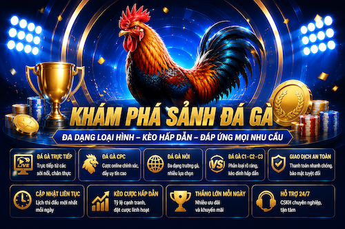 Các loại hình đá gà 8XBET với nhiều trận đấu trực tuyến và phong cách theo dõi khác nhau